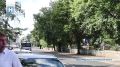 В Тамбове жители просят установить пешеходный переход на улице Бориса Васильева