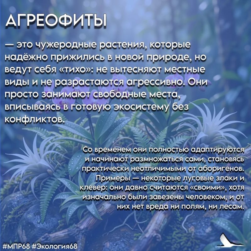 #СловарьЭколога #ТамбовскаяОбласть #МПР68 #Экология68