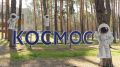В Тамбовской области прошел региональный конкурс среди педагогических работников загородных оздоровительных лагерей «Путеводная звезда»