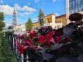 Доброе утро, Тамбов!. Сегодня ожидается облачная погода с прояснениями
