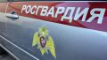 В Тамбовской области сотрудники Росгвардии задержали подозреваемого в краже товаров из магазина