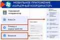 В Тамбовской области для участников СВО и их близких разработано мобильное приложение «Карьерный координатор», которое поможет решить самые востребованные вопросы: найти подходящую работу, пройти переобучение и узнать о...