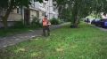 В Тамбове продолжается борьба с сорной растительностью
