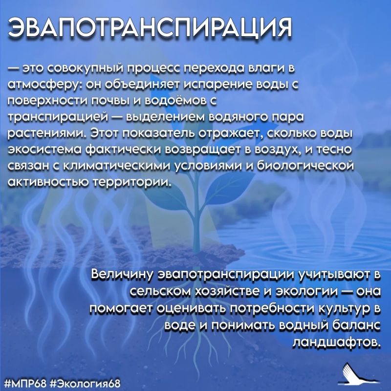 #СловарьЭколога #ТамбовскаяОбласть #МПР68 #Экология68