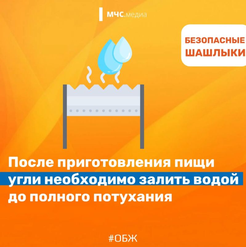Жарим шашлыки безопасно. Планируете барбекю? Чтобы отдых на природе прошел идеально, важно знать несколько простых правил безопасности Жарим шашлыки безопасно. Планируете барбекю? Чтобы отдых на природе прошел идеально, важно знать несколько простых правил безопасности
