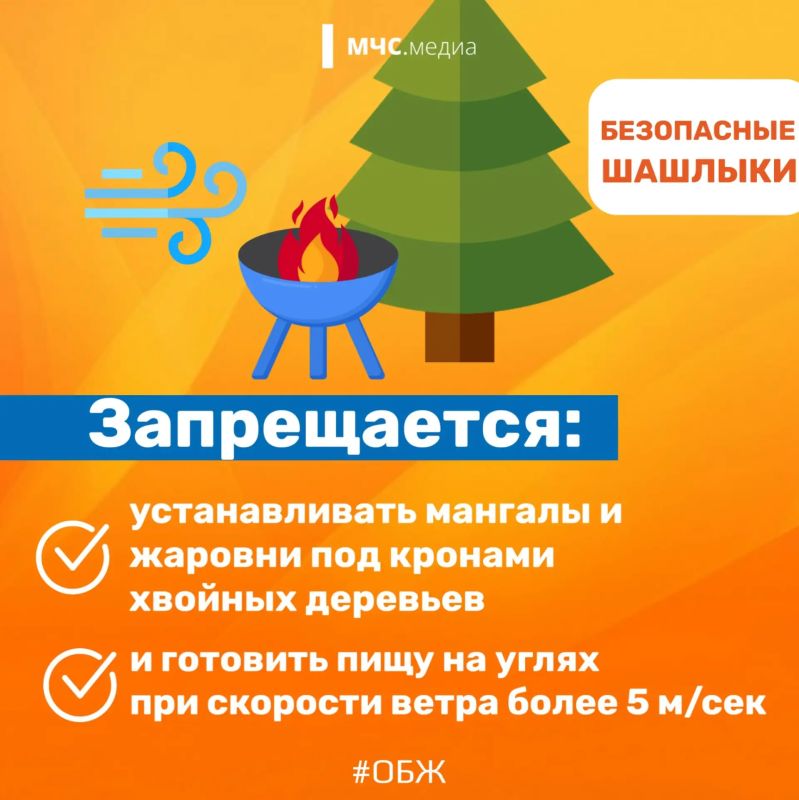 Жарим шашлыки безопасно. Планируете барбекю? Чтобы отдых на природе прошел идеально, важно знать несколько простых правил безопасности Жарим шашлыки безопасно. Планируете барбекю? Чтобы отдых на природе прошел идеально, важно знать несколько простых правил безопасности