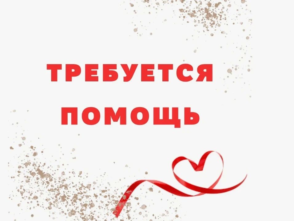 Друзья, нужна помощь!. Волонтер Светлана, о которой мы писали в марте, пострадала при атаке БПЛА в Котовске