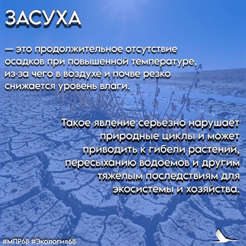 #СловарьЭколога #ТамбовскаяОбласть #МПР68 #Экология68