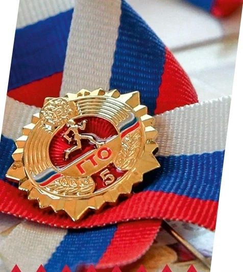По итогам второго квартала 2026 года более 1000 тамбовчан стали обладателями знаков отличия ГТО