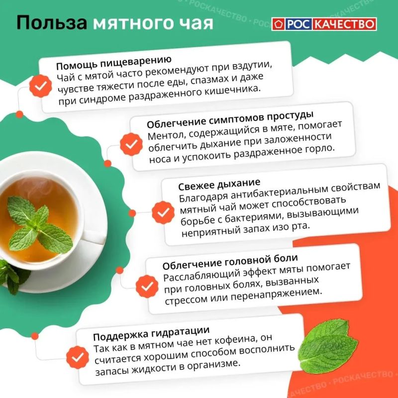 Специалисты Роскачества напомнили о пользе мятного чая