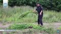 � ���������� ������ ����������� ���������� ���������� ������������ �������
