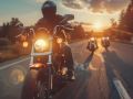 � ����� ������ ������������ ������� ����� ����������-����������������� ����������� ������������