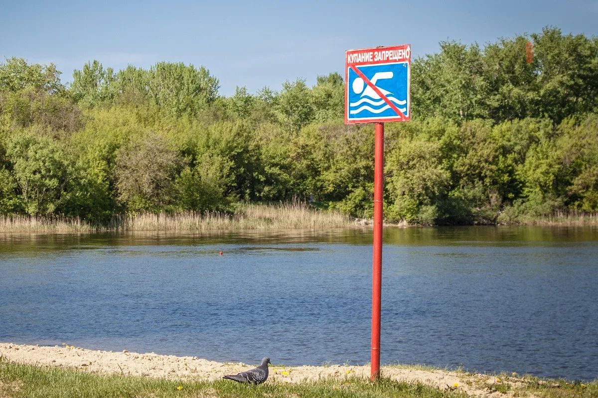 В Тамбове не рекомендуют купаться на трех пляжах изза качества воды