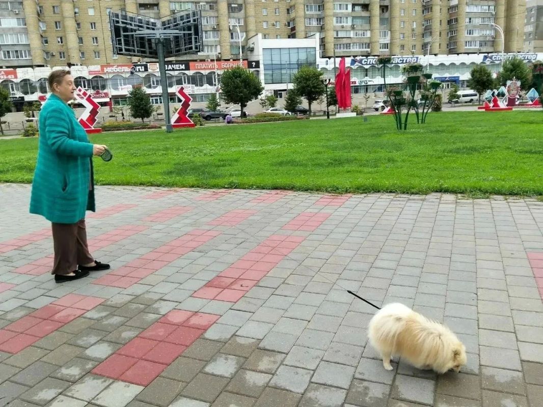 В Тамбове провели рейд по соблюдению правил выгула домашних животных В Тамбове провели рейд по соблюдению правил выгула домашних животных