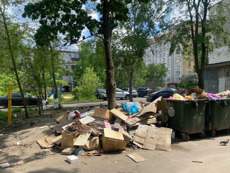 Евгений Первышов: «Надо вовремя ликвидировать свалки мусора в Тамбове»