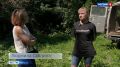 Домой, на волю: косуля Леся вернулась в дикую природу