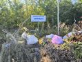 В Тамбове выстраивают систему вывоза растительных отходов