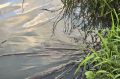 В Моршанском округе утонул 73-летний мужчина
