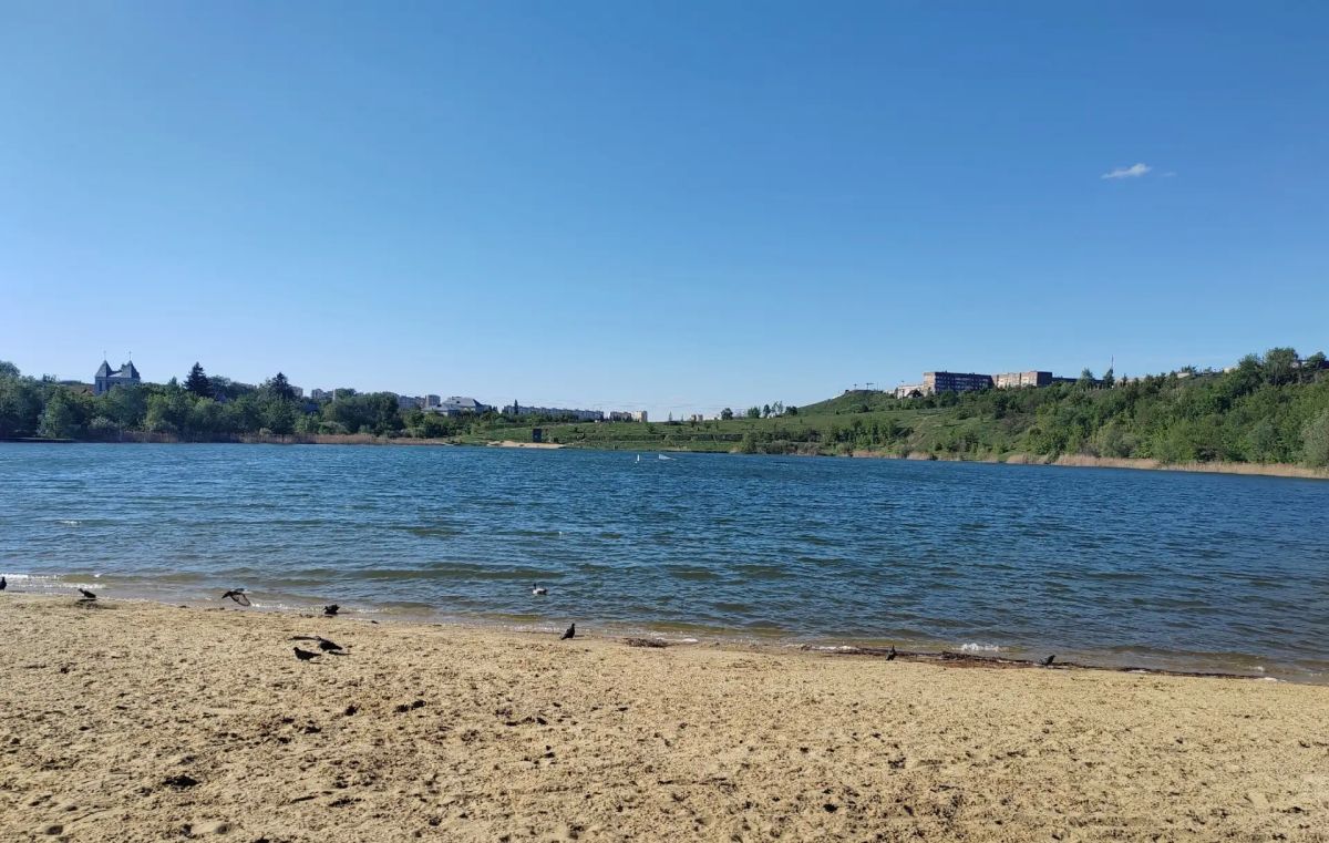 Вода на шести пляжах в Тамбове не соответствует санитарным нормам