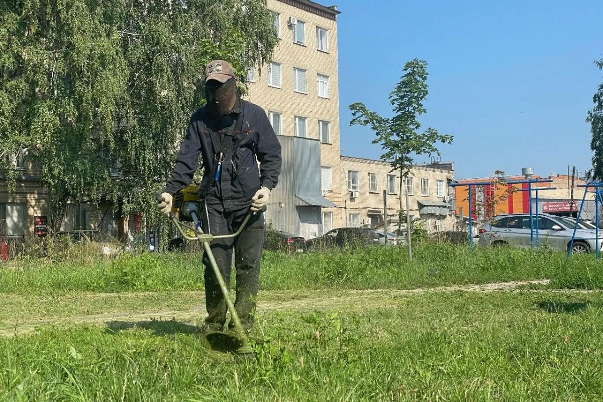С начала покоса в этом году управляющим компаниям выдали 138 предписаний за нарушения