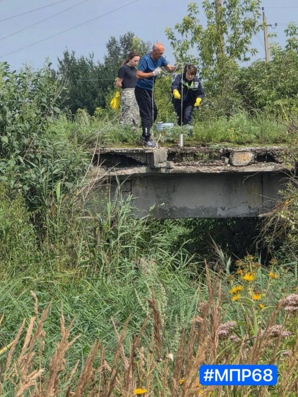 Воду из реки Мазовка под Тамбовом проверят на наличие загрязняющих веществ Воду из реки Мазовка под Тамбовом проверят на наличие загрязняющих веществ