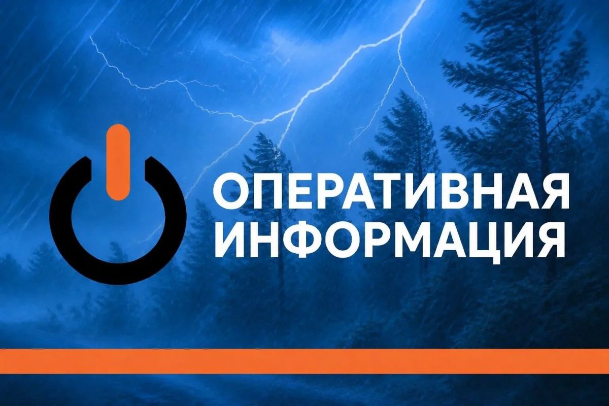 Жителей Тамбовской области предупреждают о ночных грозах и ливнях