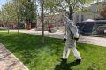 Роспотребнадзор рассказал, как изменилась ситуация с клещами в Тамбовской области