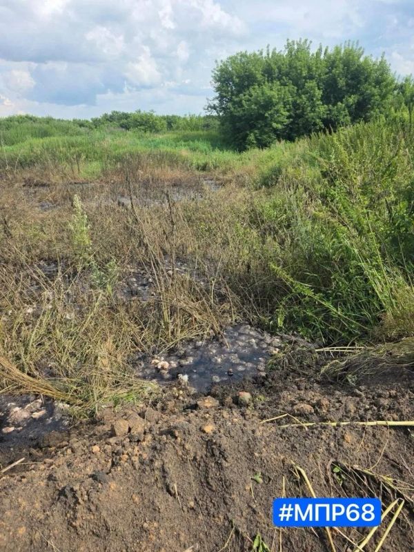 В Бондарском округе местная ферма устроила свалку на общественной дороге В Бондарском округе местная ферма устроила свалку на общественной дороге
