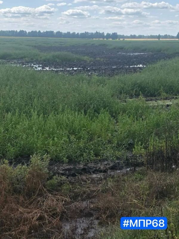 Зафиксировано загрязнение реки Лесной Тамбов в городе Рассказово Зафиксировано загрязнение реки Лесной Тамбов в городе Рассказово