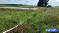 Зафиксировано загрязнение реки Лесной Тамбов в городе Рассказово