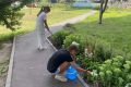 ���� ���������� �� ������������ ������ ���������� ������� ��������� ������ � �����