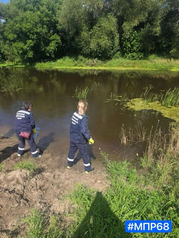 Зафиксировано загрязнение реки Лесной Тамбов в городе Рассказово Зафиксировано загрязнение реки Лесной Тамбов в городе Рассказово