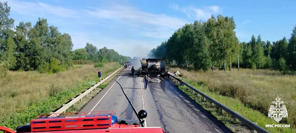 Сотрудники МЧС России ликвидировали возгорание автомобиля в Мичуринском округе Сотрудники МЧС России ликвидировали возгорание автомобиля в Мичуринском округе