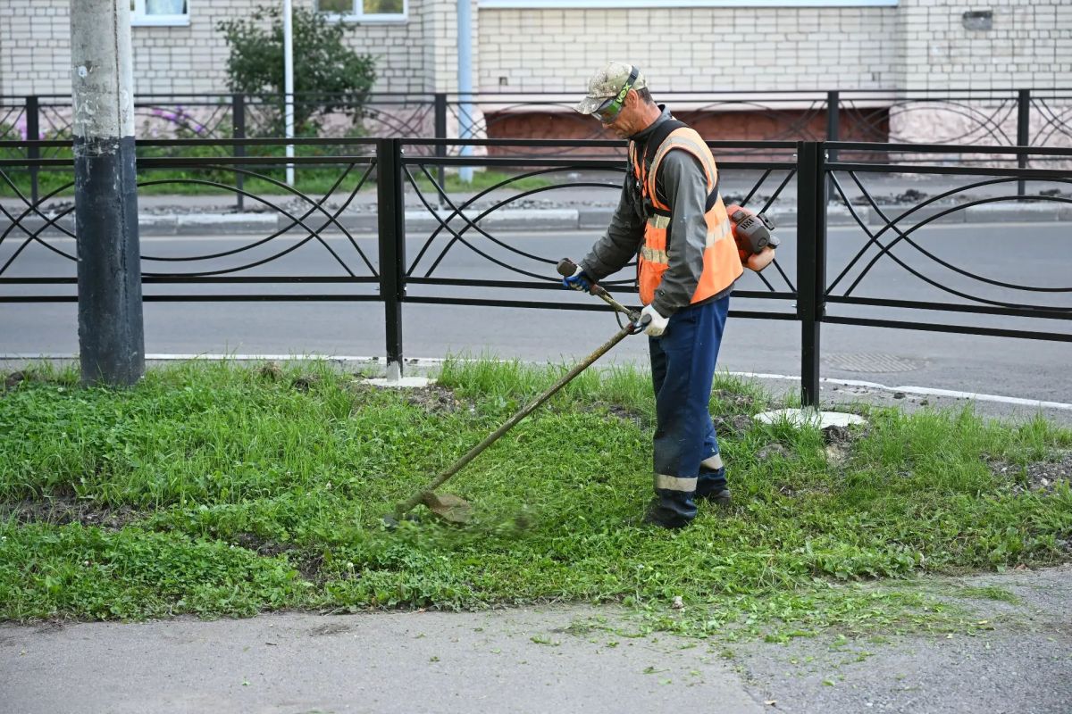 Покос травы: на середину августа окошено более 5,5 млн кв.м Покос травы: на середину августа окошено более 5,5 млн кв.м