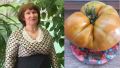 Помидор весом более 2 кг вырастила жительница Тамбовской области