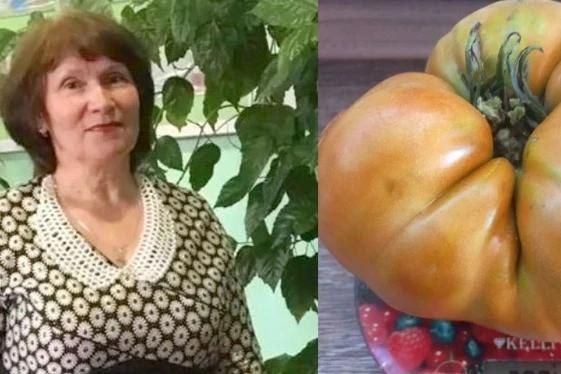 Гигантские помидор и картофель вырастили тамбовские огородники