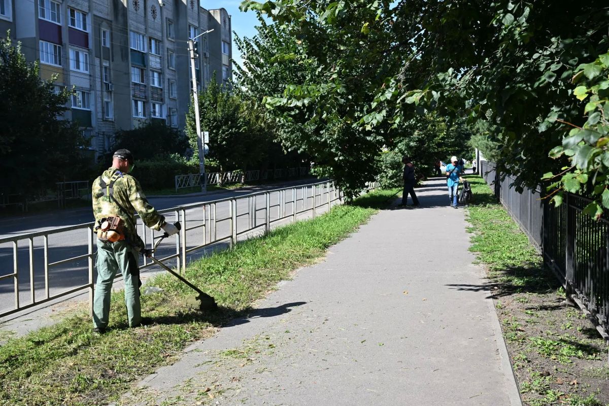 Покос травы: на середину августа окошено более 5,5 млн кв.м Покос травы: на середину августа окошено более 5,5 млн кв.м
