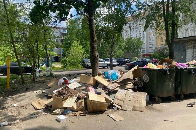 Мусорные свалки рядом с баками в Тамбове теперь убирает «Тамбовская сетевая компания»