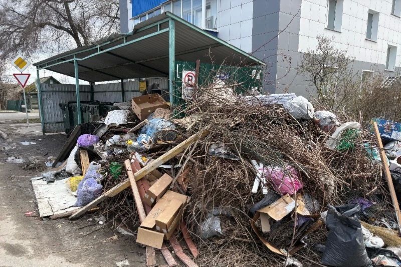 Мусорные свалки в регионе начинают ликвидировать в экстренном режиме