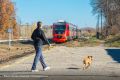 На ЮВЖД с начала года перевезли 1,5 тысячи питомцев без сопровождения владельцев