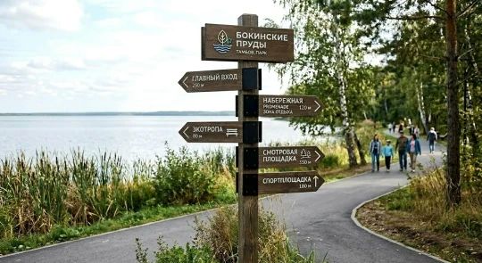 Искать подрядчика для благоустройства Бокинских прудов начнут осенью