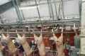 Резкий рост цен на бензин и мясо: что подорожало в Тамбовской области в июле