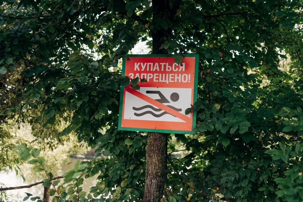 Роспотребнадзор по Тамбовской области признал шесть городских пляжей на реке Цне непригодными для купания