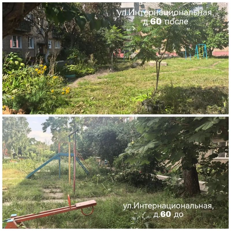 В Тамбове управляющую компанию оштрафовали на 10 тысяч за неисполнение обязательств по покосу травы во дворе