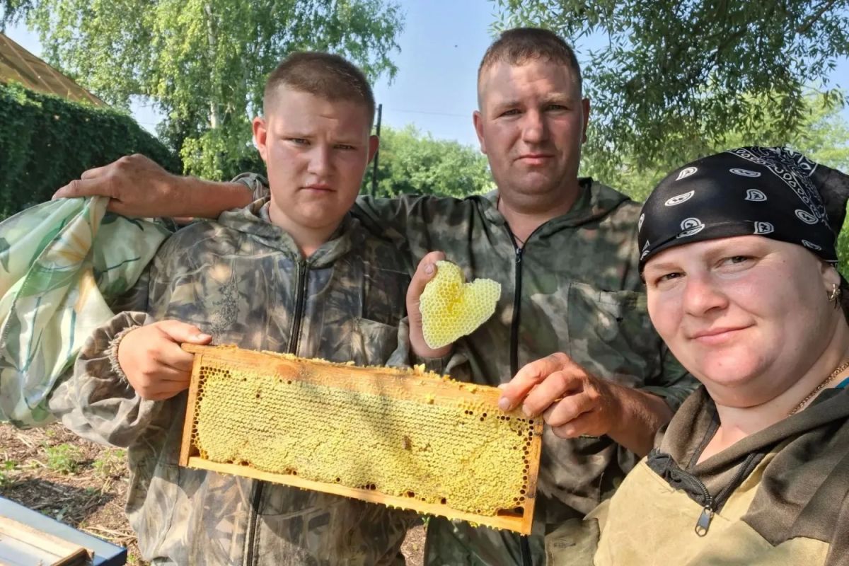 В Умётском округе у пасечника появилась пчелиная сота в виде сердца В Умётском округе у пасечника появилась пчелиная сота в виде сердца