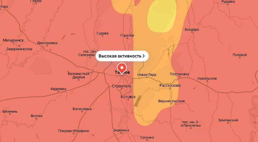 В Тамбове сегодня высокая концентрация аллергенов в воздухе