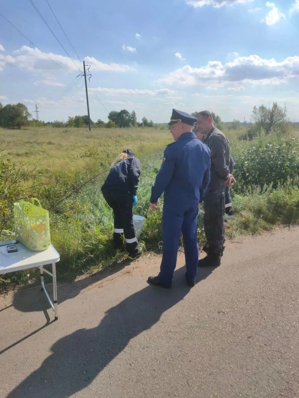 Прокуратура проводит проверку по факту массовой гибели рыбы в озере Молодежное с. Черняное Тамбовского муниципального округа