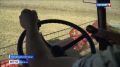 �������� � ���� - ���� ������ �������