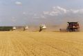 В Тамбовской области, с полей собрано 46% урожая зерновых и зернобобовых культур