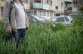 «Гонор надо сбивать»: Косенков требует строже наказывать УК за заросшие дворы